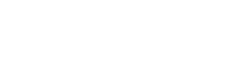 Countwise BPO logo